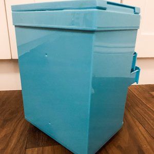 american girl truly blue hairstyling caddy